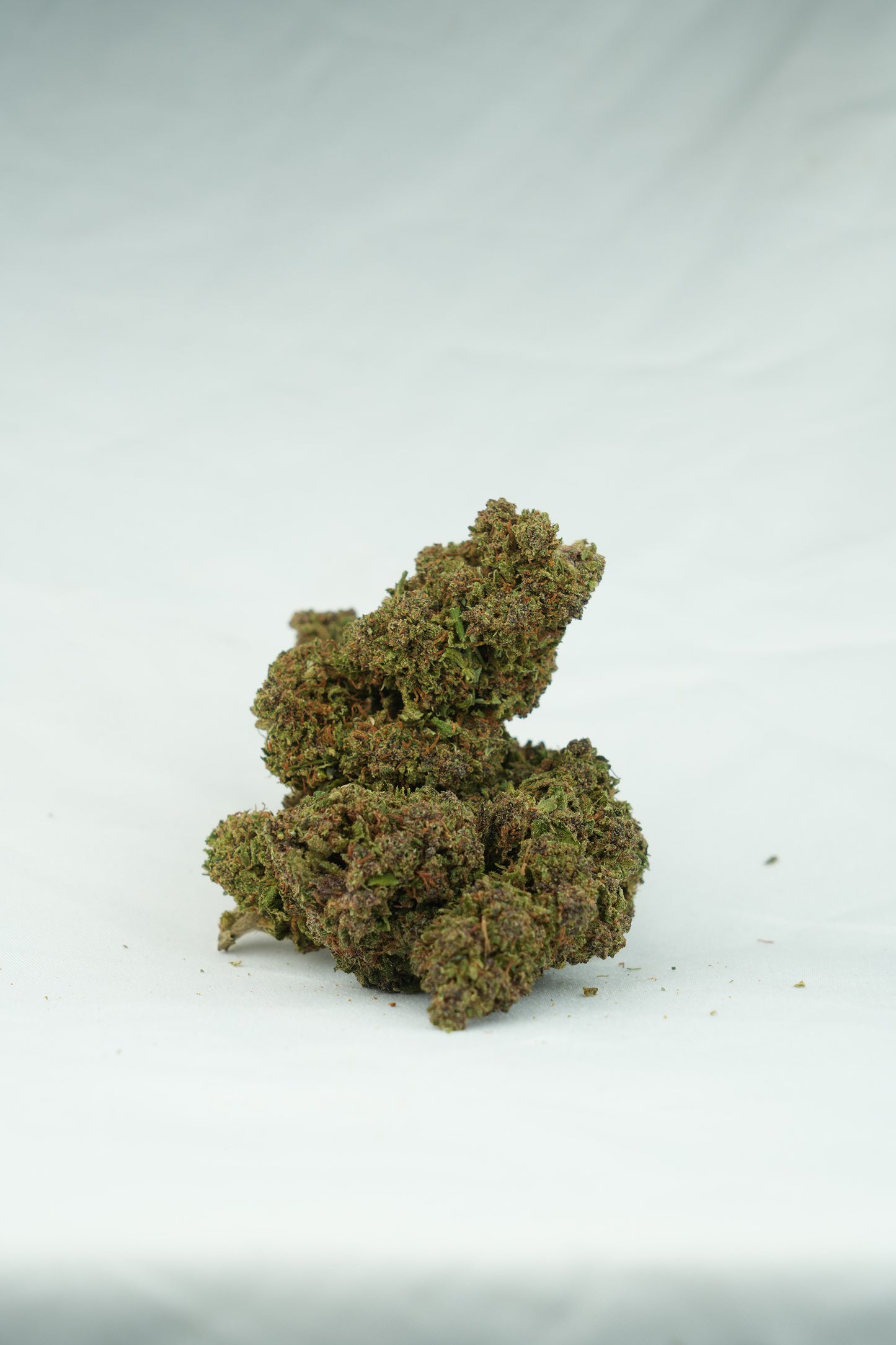 Aladin Purple Kush CBD