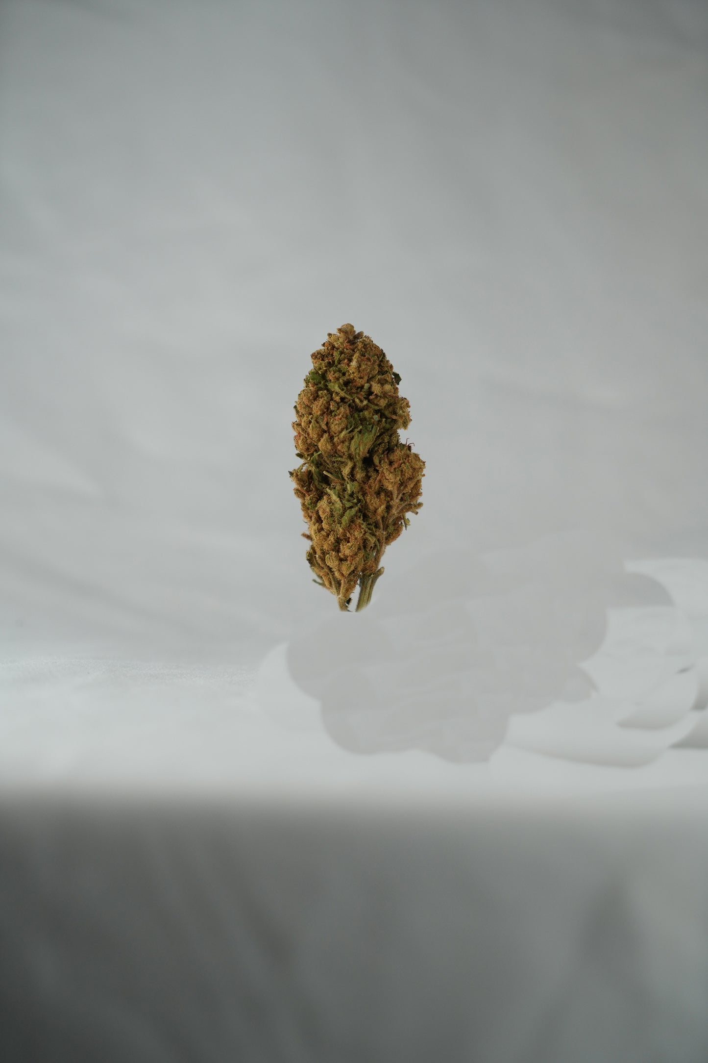 Russian Roulette CBD