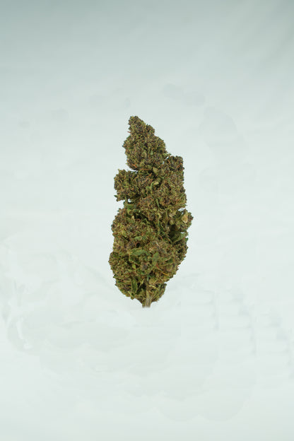 Aladin Purple Kush CBD