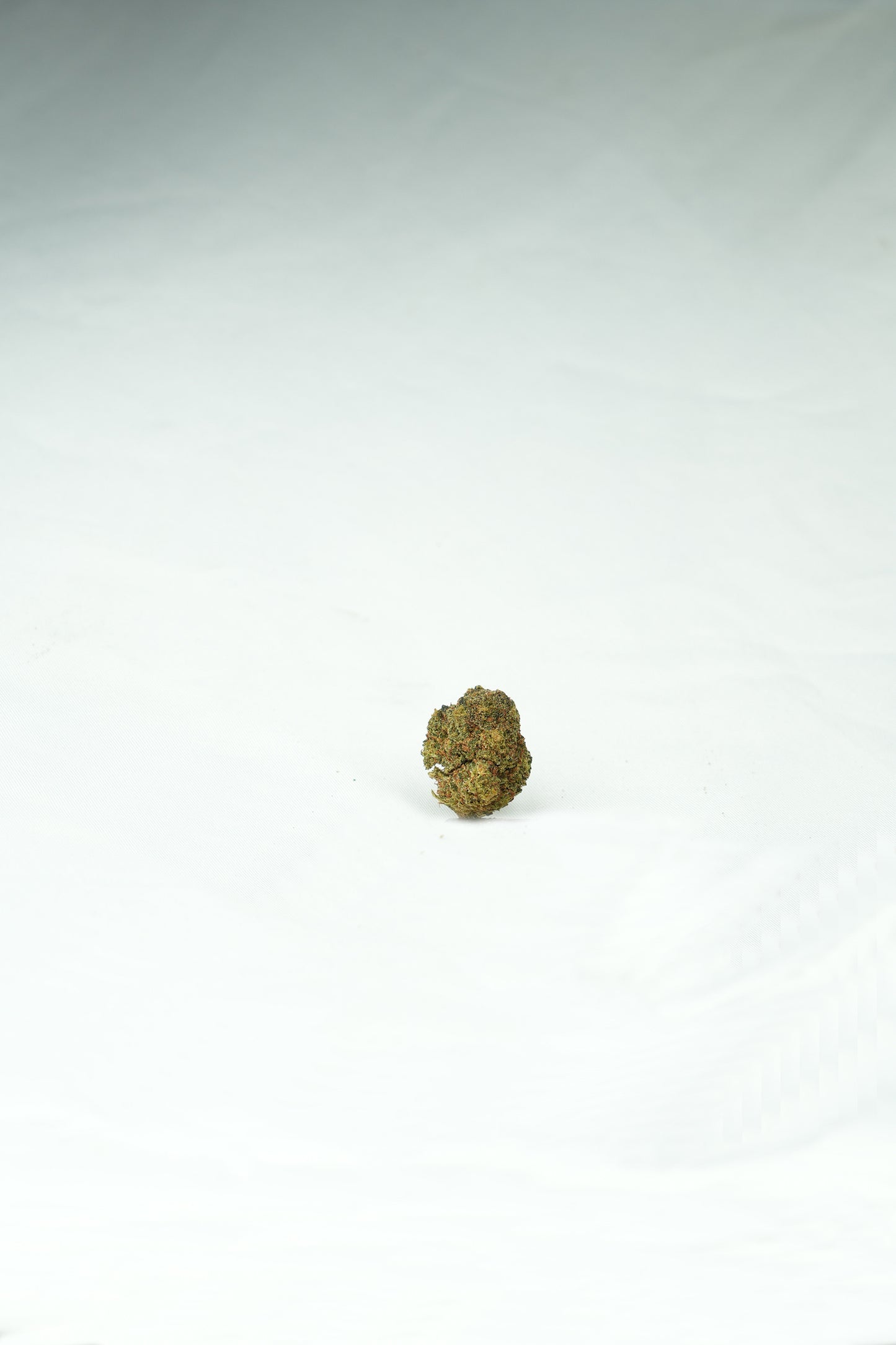 Berry Pie Cookies THCa