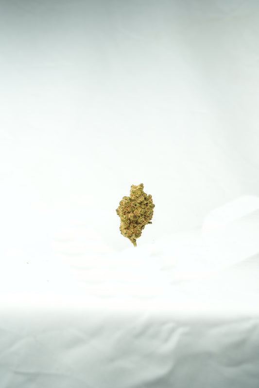 Fish Scale THCa