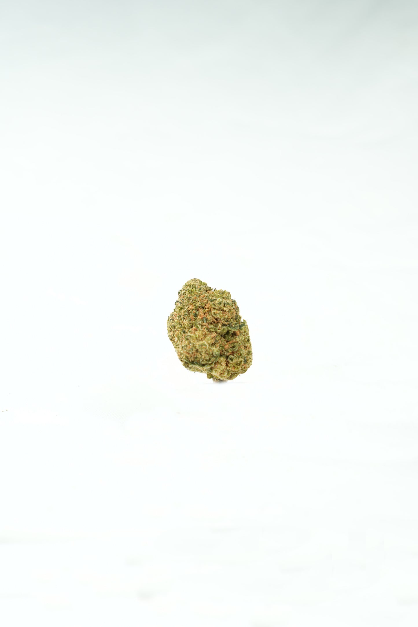 Gelatti THCa