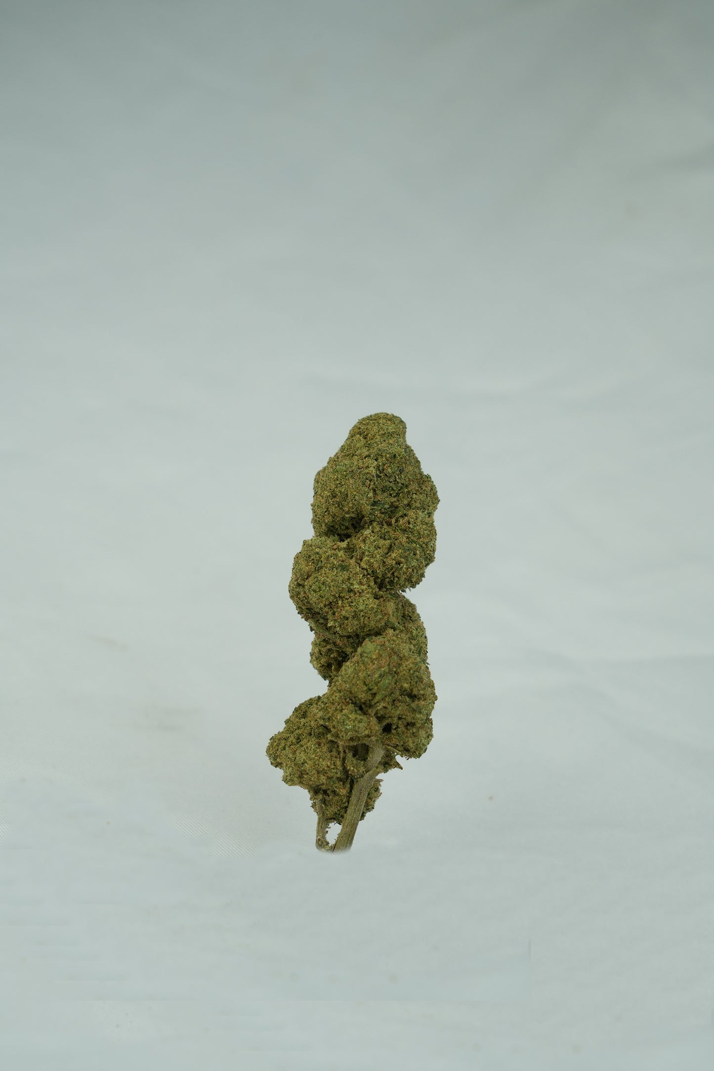 Kandy Kush CBD