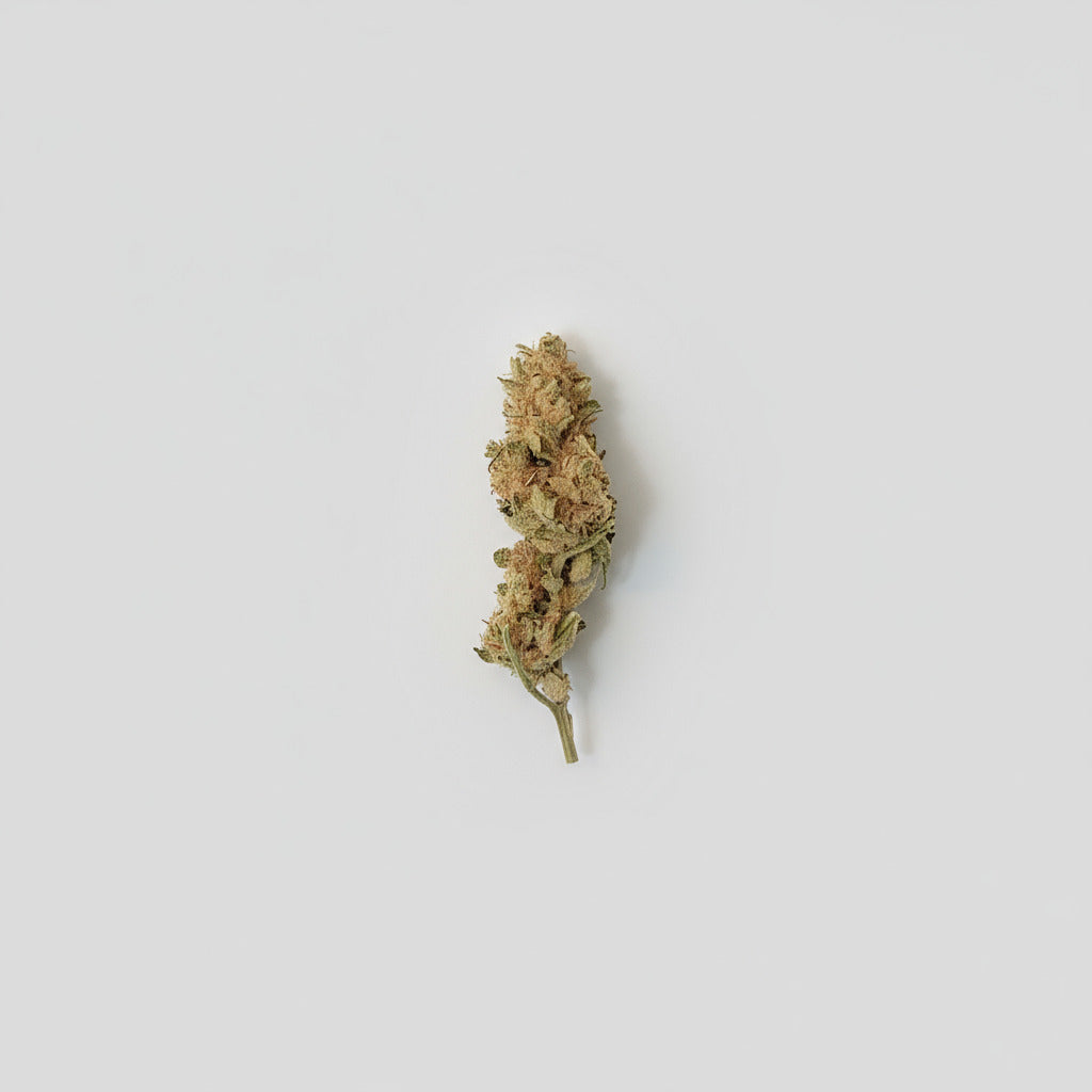 Small Buds CBD